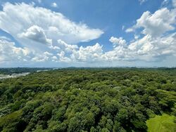 Tree House (D23), Condominium #553870651
